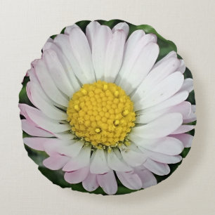 Pretty daisy baby round pillow
