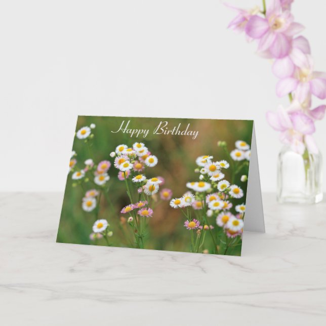 Pretty Daisy Birthday Card (Orchid)