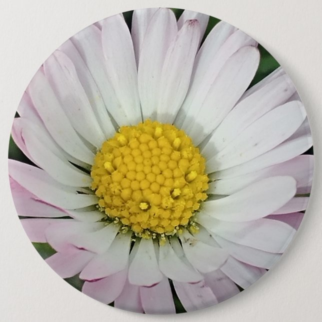 Pretty daisy button (Front)