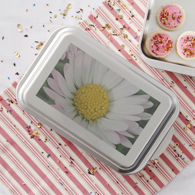 Pretty daisy cake pan (In Situ)