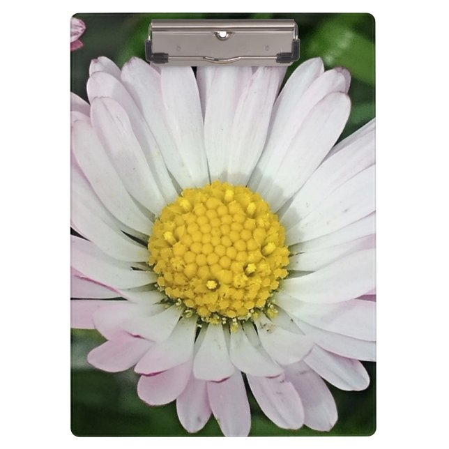Pretty daisy clipboard (Front)