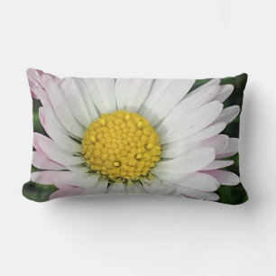 Pretty daisy lumbar pillow