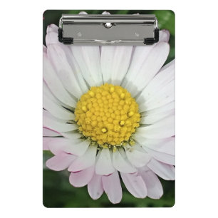 Pretty daisy mini clipboard