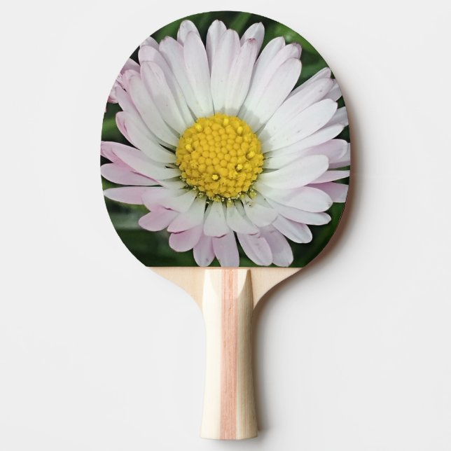Pretty daisy ping pong paddle (Front)
