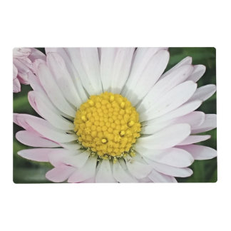 Pretty daisy placemat