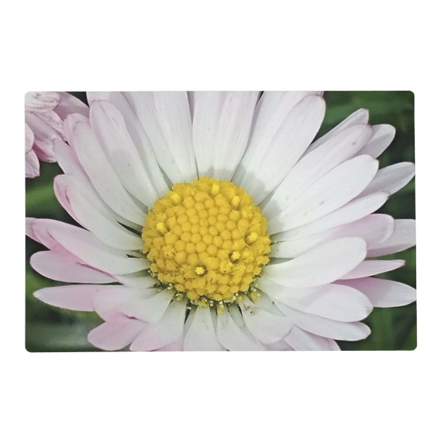 Pretty daisy placemat (Front)
