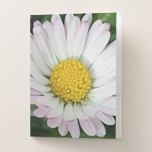 Pretty daisy pocket folder
