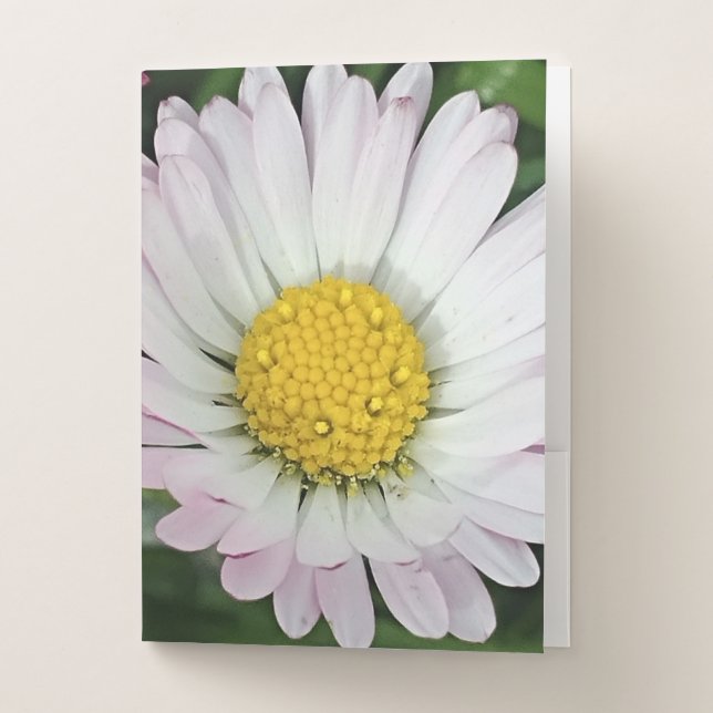 Pretty daisy pocket folder (Front)