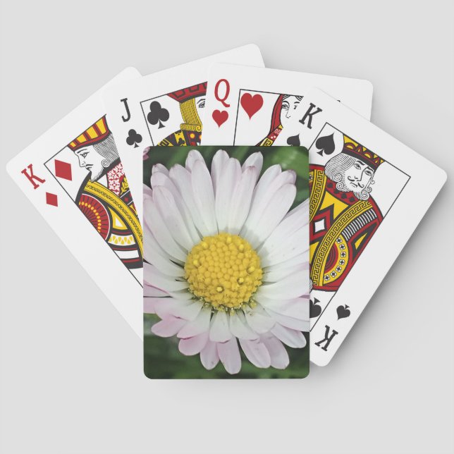 Pretty daisy poker cards (Back)