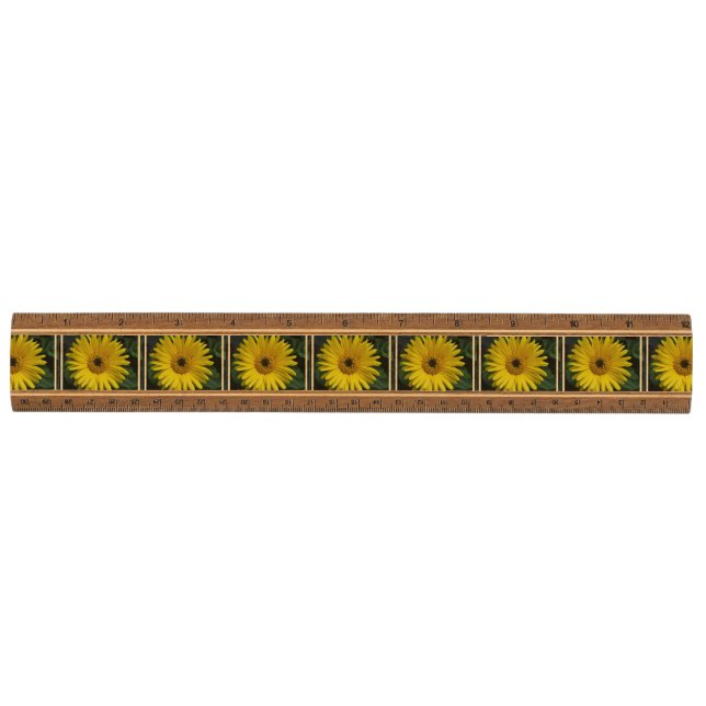 Pretty Daisy Ruler (Front)
