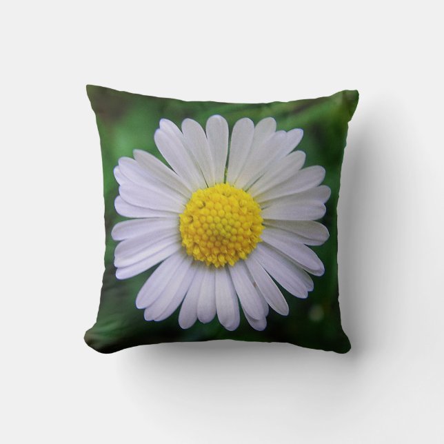 Pretty Daisy Throw Pillow (Front)