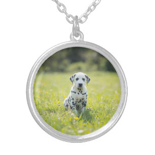 Pretty Dalmatian Round Silver Plated Necklace