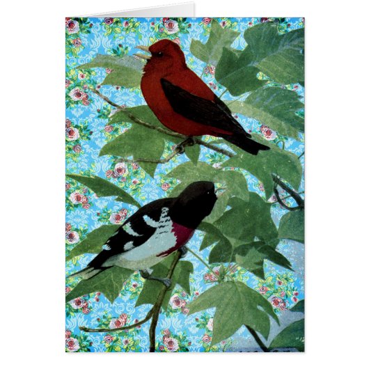 Pretty Day Birds Cards (Front)