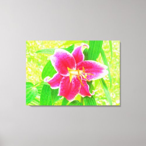 Pretty Deep Pink Stargazer Lily on Lime Green Canvas Print