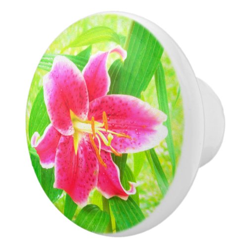 Pretty Deep Pink Stargazer Lily on Lime Green Ceramic Knob