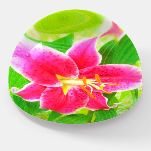 Pretty Deep Pink Stargazer Lily on Lime Green Paperweight