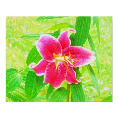 Pretty Deep Pink Stargazer Lily on Lime Green Poster