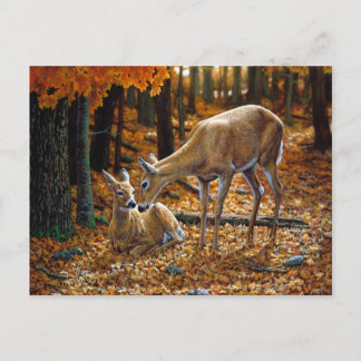 Pretty Deer and Fawn Autumn Leaves Postcard