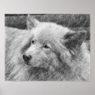 Pretty Dog Face Pencil Art Poster