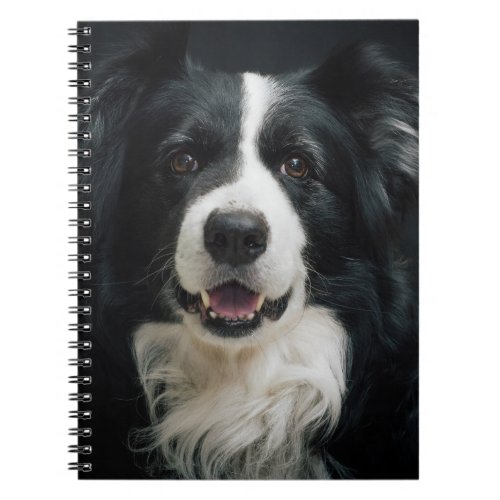 Pretty Dog Notebook