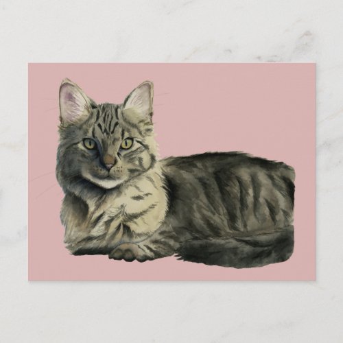 Pretty Domestic Medium Hair Kitty Cat Watercolor Postcard