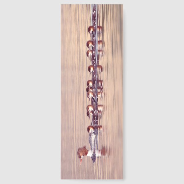 Pretty Duck Family Bookmark (Front)