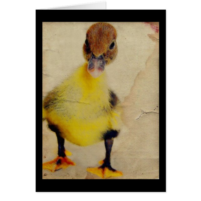 Pretty Duckling Cards (Front)