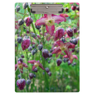 Pretty Epimedium (Fairy Wings) Flower Spring Photo Clipboard