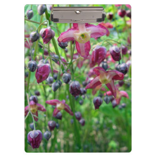 Pretty Epimedium (Fairy Wings) Flower Spring Photo Clipboard