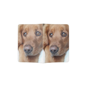Pretty Eyed Dog Passport Holder