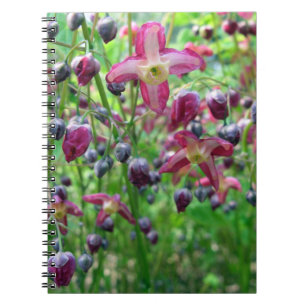 Pretty Fairy Wings (Epimedium) Spring Flower Photo Notebook