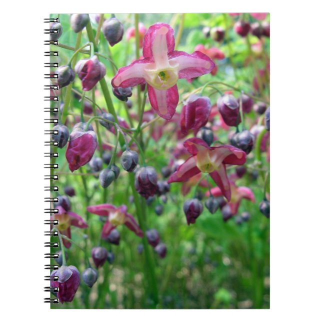 Pretty Fairy Wings (Epimedium) Spring Flower Photo Notebook (Front)