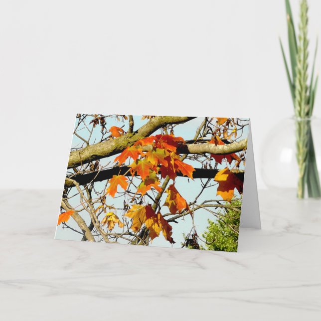 Pretty Fall Leaves Autumn Blessings Card (Front)