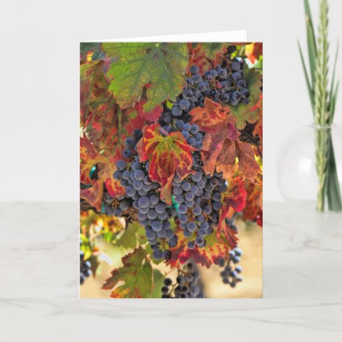 Pretty Fall Vineyard Blank Wine Card