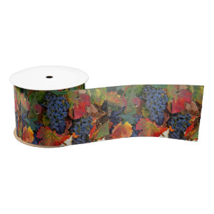 Pretty Fall Wine Vineyard Satin Ribbon