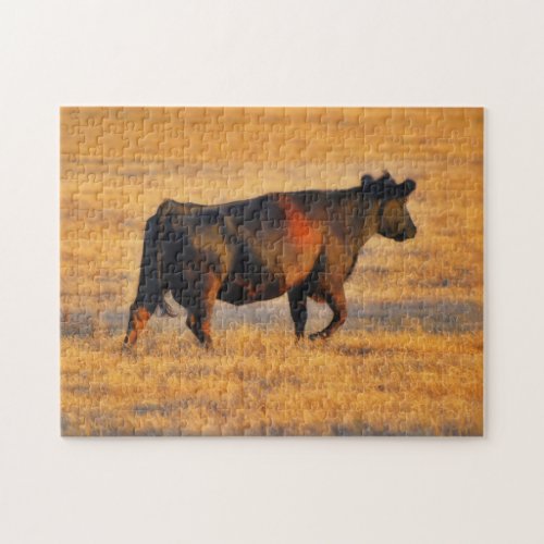 Pretty Farm Art Angus Cow at Sunset Puzzle