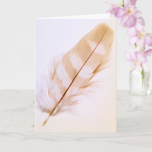 Pretty Feather Nature Get Well Card