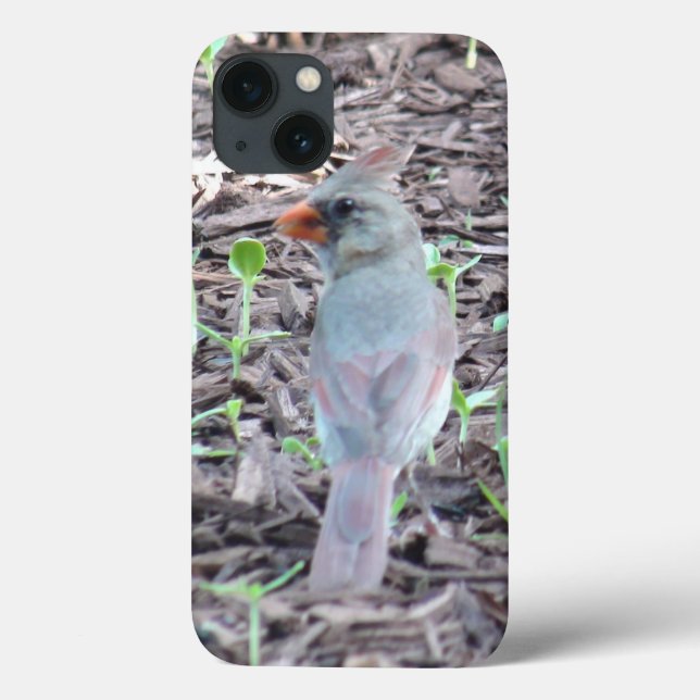 Pretty Female Cardinal Cell Phone Case (Back)