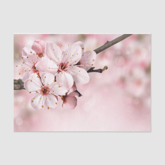 Pretty Feminine Pink Cherry Floral Spring Sakura Tissue Paper (Front)
