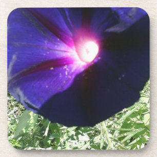 Pretty Floral Drink Coaster