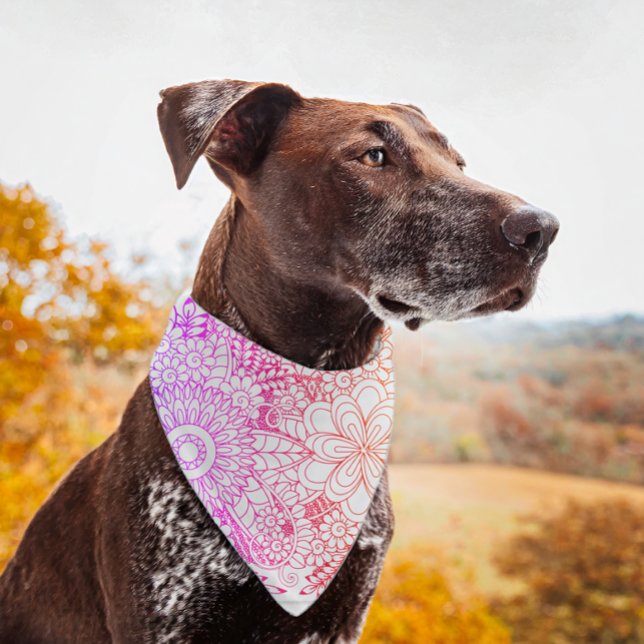 Pretty Florals Rainbow Pet Bandana (Creator Uploaded)