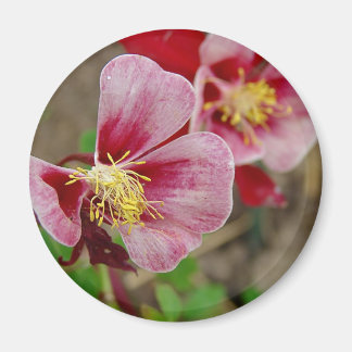 Pretty Flower Magnet