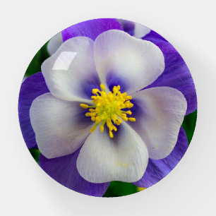 Pretty Flower Paperweight