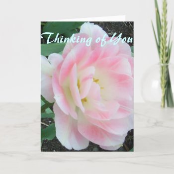Pretty Flower White Pink Get Well Soon Card by CricketDiane at Zazzle