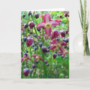 Pretty Flowers and Buds Spring Photo Mother's Day Card