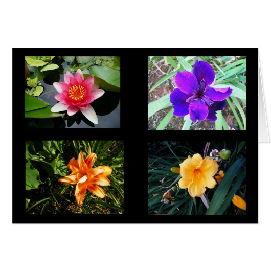 Pretty Flowers, Blank Cards (Front Horizontal)