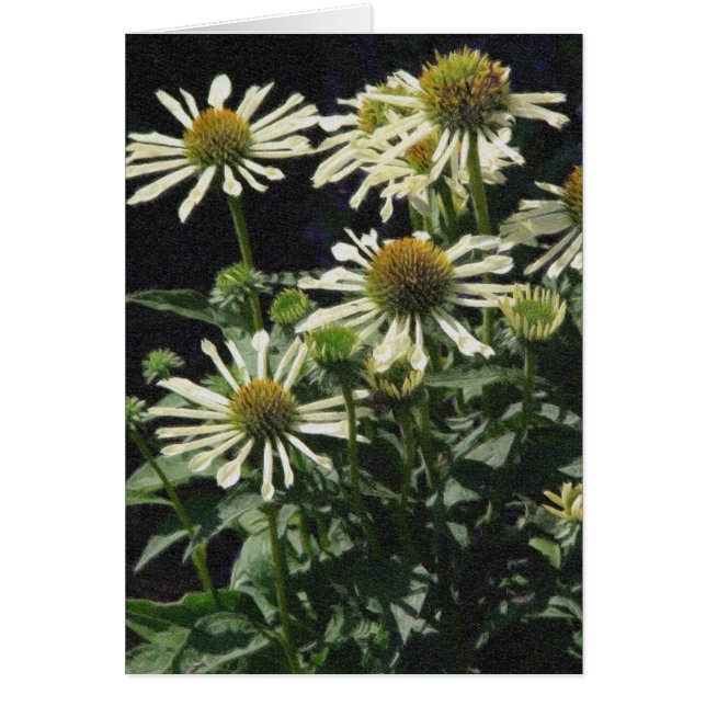 Pretty Flowers Cards (Front)