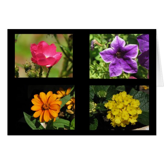 Pretty Flowers Collection Cards (Front Horizontal)