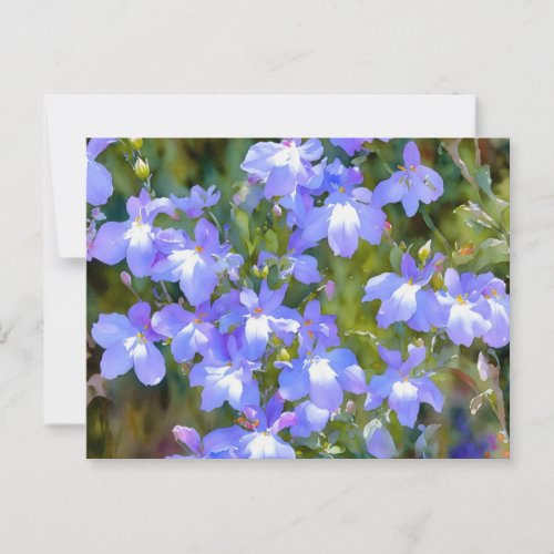 Pretty Forget Me Not Blue Flowers Postcard