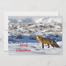 Pretty Fox Snow Photo Christmas Flat